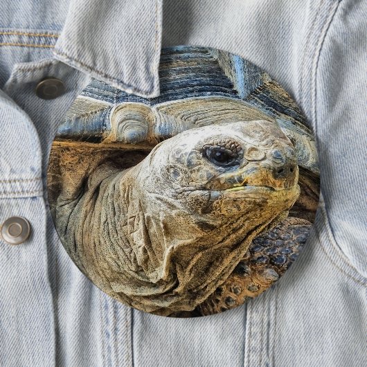 TORTOISE BUTTON (Beispiel)