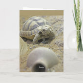Tortoise Card Karte (Rückseite)