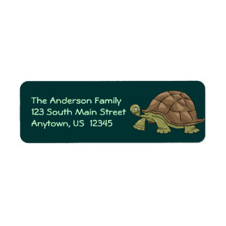 Tortoise Cartoon