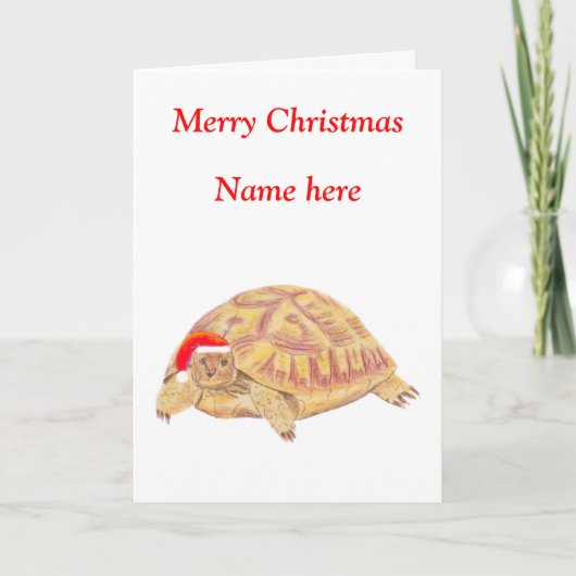 Tortoise Christmas Card Feiertagskarte (Vorderseite)