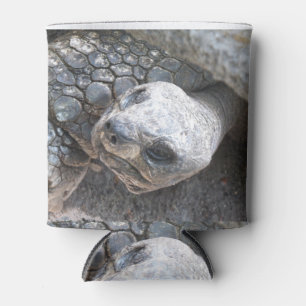 Tortoise Dosenkühler