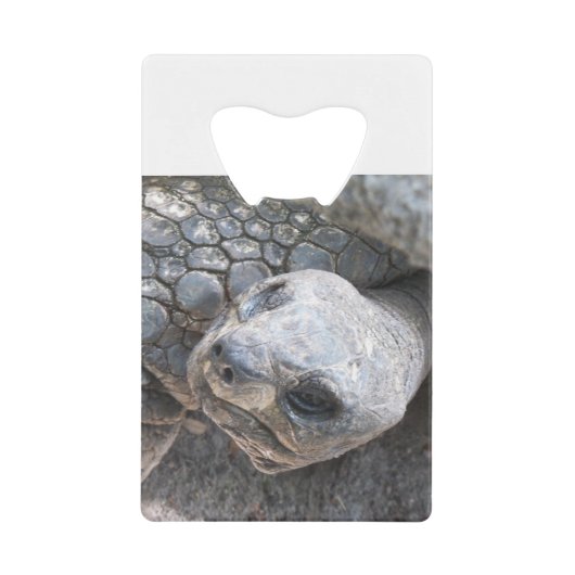 Tortoise Face Geldbeutel Flaschenöffner (Vorderseite)
