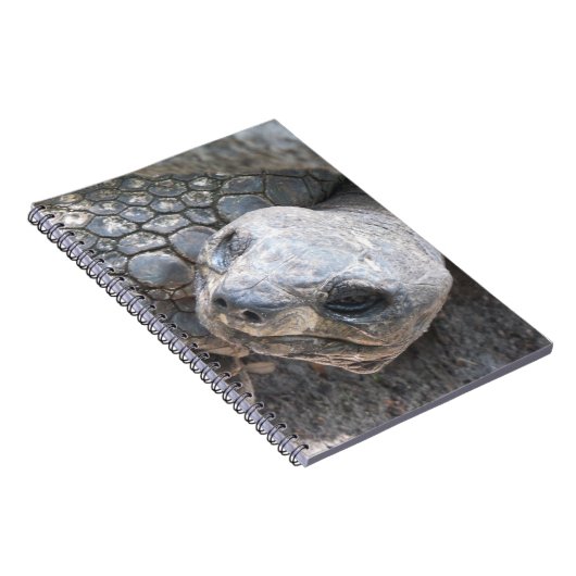 Tortoise Face Notizblock (Rechte Seite)