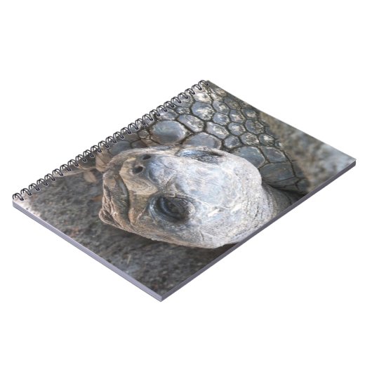 Tortoise Face Notizblock (Linke Seite)