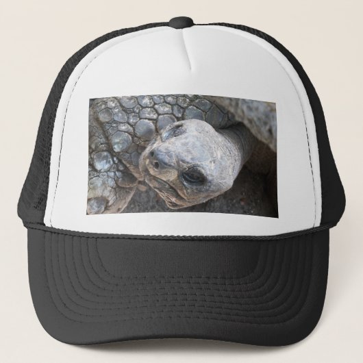 Tortoise Face Truckerkappe (Vorderseite)