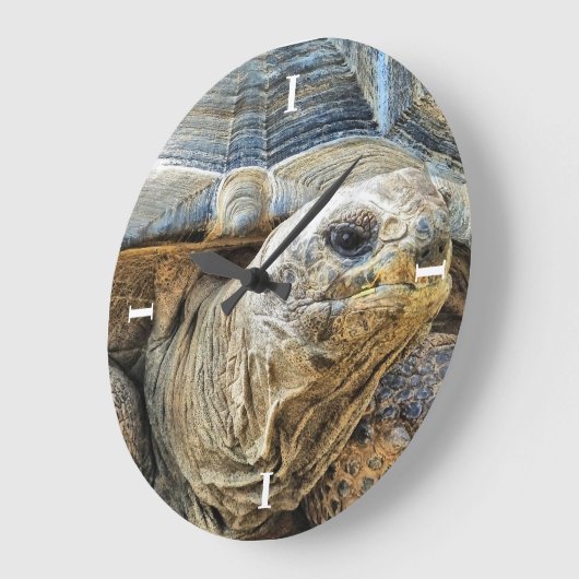 TORTOISE GROßE WANDUHR (Winkel)