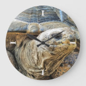 TORTOISE GROßE WANDUHR (Vorderseite)