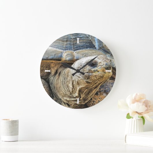 TORTOISE GROßE WANDUHR (Zuhause)