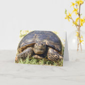 Tortoise Grußkarte Karte (Gelbe Blume)