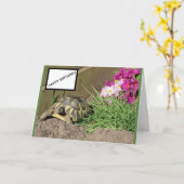 Tortoise Happy Birthday Card Karte (Gelbe Blume)