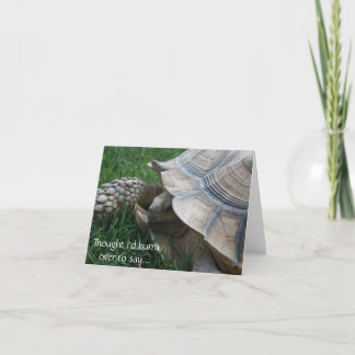 Tortoise Hurry Birthday Card Karte