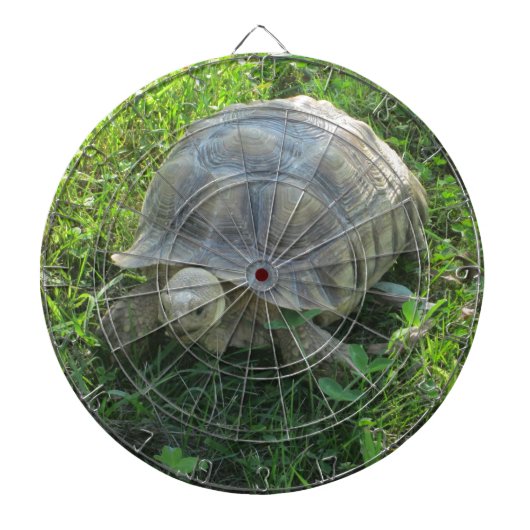 Tortoise im Gras Dartscheibe (vorne)