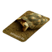 Tortoise im Zoo von Indianapolis Magnet (Linke Seite)