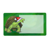 Tortoise in der Weihnachtsmannmütze auf grün (Vorne)