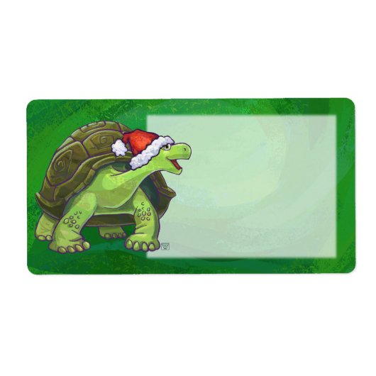 Tortoise in der Weihnachtsmannmütze auf grün (Vorne)