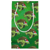 Tortoise in der Weihnachtsmannmütze auf grün Kleine Geschenktüte (Vorderseite)
