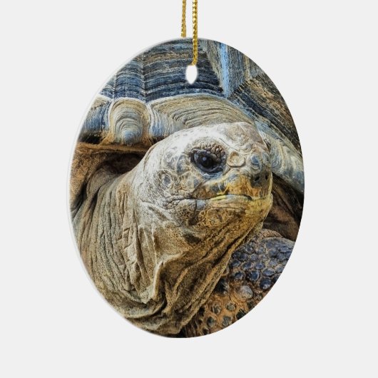 TORTOISE KERAMIK ORNAMENT (Rechts)