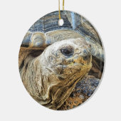 TORTOISE KERAMIK ORNAMENT (Links)