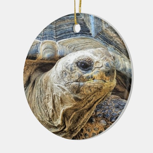 TORTOISE KERAMIK ORNAMENT (Links)