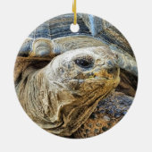 TORTOISE KERAMIK ORNAMENT (Hinten)