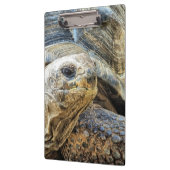 TORTOISE KLEMMBRETT (Links)