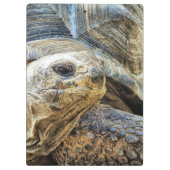 TORTOISE KLEMMBRETT (Rückseite)