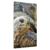 TORTOISE KLEMMBRETT (Rechts)