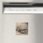 Tortoise Magnet (In Situ (Geschirrspüler))