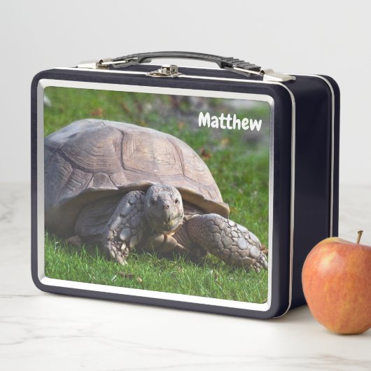 Tortoise Metal Lunchbox (Beispiel)