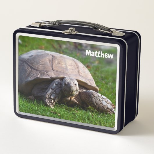 Tortoise Metal Lunchbox (Vorderseite)