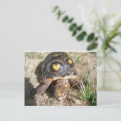Tortoise mit Herzmuster Postkarte (Stehend Vorderseite)