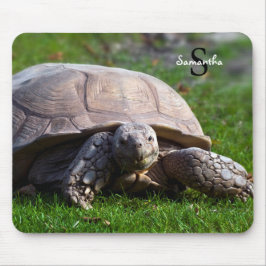 Tortoise Mouse mat Mousepad