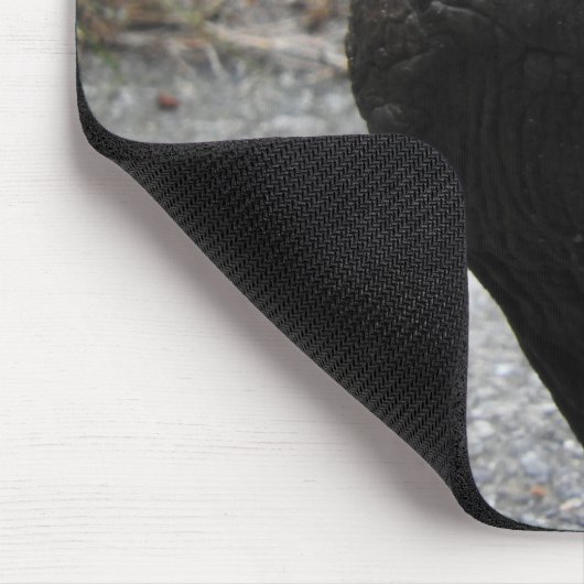 Tortoise Mousepad (Ecke)