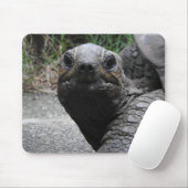 Tortoise Mousepad (Mit Mouse)