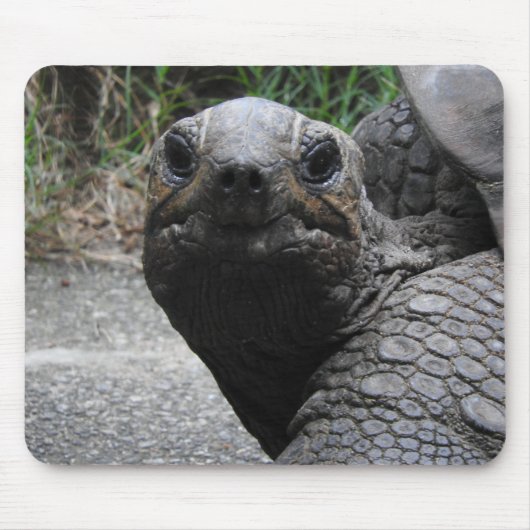 Tortoise Mousepad (Vorne)