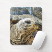 TORTOISE MOUSEPAD (Mit Mouse)