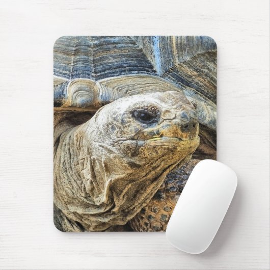 TORTOISE MOUSEPAD (Mit Mouse)
