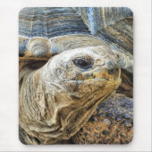 TORTOISE MOUSEPAD (Vorne)