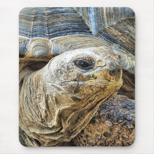 TORTOISE MOUSEPAD (Vorne)