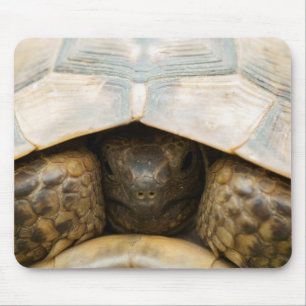 Tortoise Mousepad