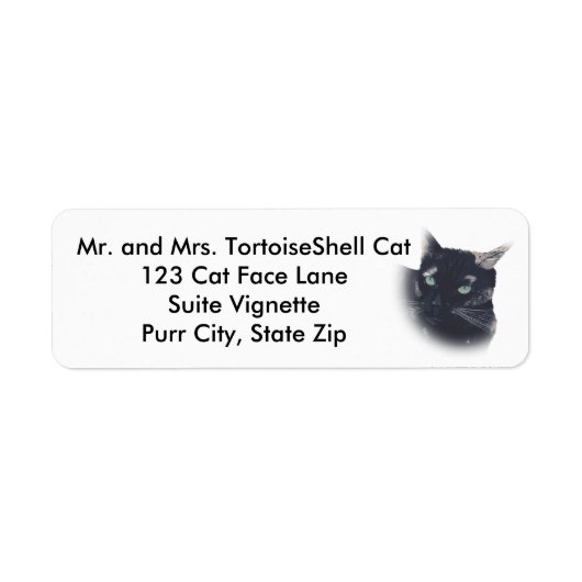Tortoise Muschel Cat Face Address Labels (Vorne)