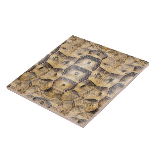 Tortoise-Muschel Fliese (Seite)