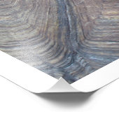 Tortoise Muschel Foto von Linda Becker (Ecke)