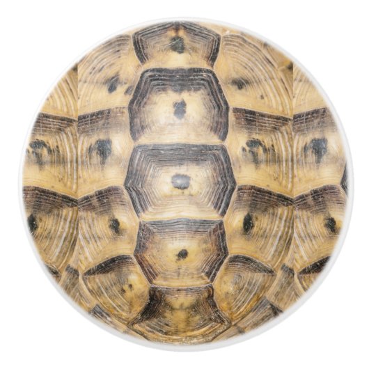 Tortoise-Muschel Keramikknauf (Vorderseite)