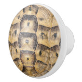 Tortoise-Muschel Keramikknauf (Rechts)