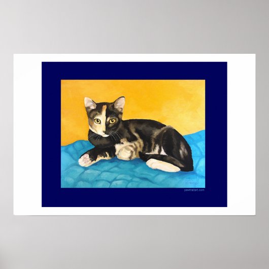 Tortoise Muschel Kitten Poster (Vorne)
