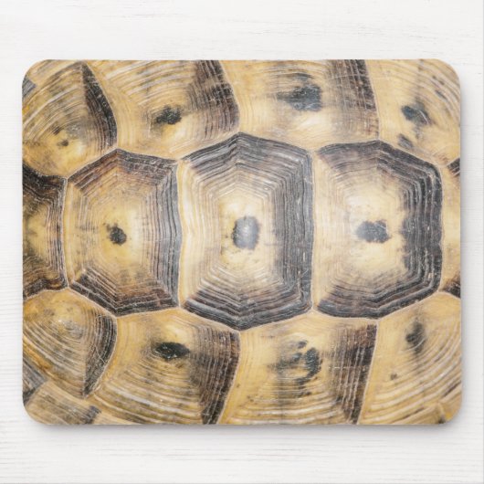 Tortoise-Muschel Mousepad (Vorne)