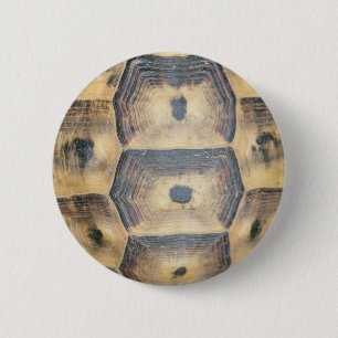 Tortoise Muschel Muster Button