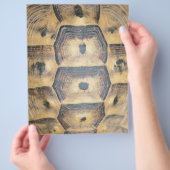 Tortoise Muschel Muster Flyer (Hand)