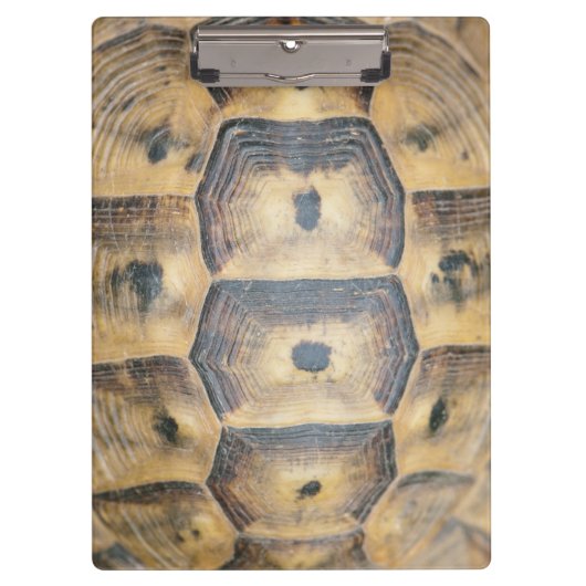 Tortoise Muschel Muster Klemmbrett (Vorderseite)